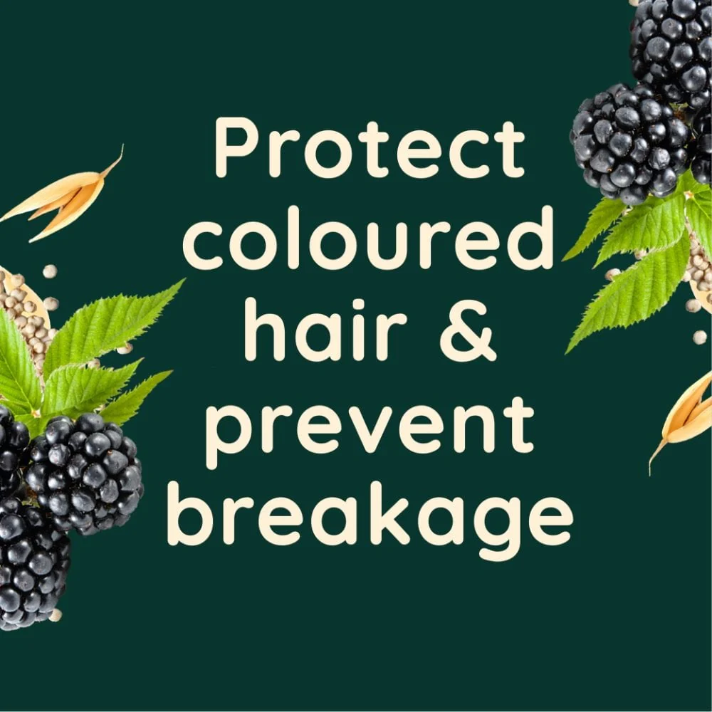 Aveeno Colour Protect+ Blackberry & Quinoa Blend Conditioner 300ml - Image 3