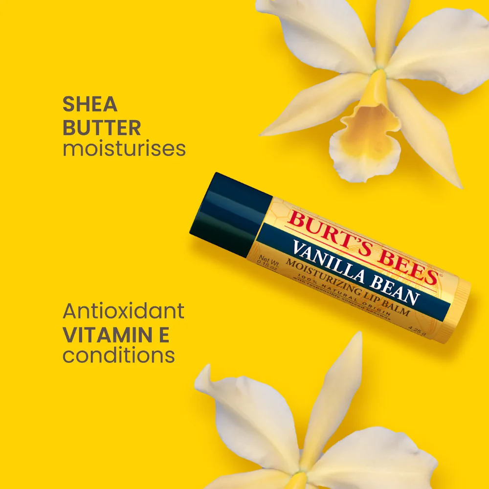 Burt's Bees Best Of Burts Lip Balm Set 4 x 4.25g - Image 6