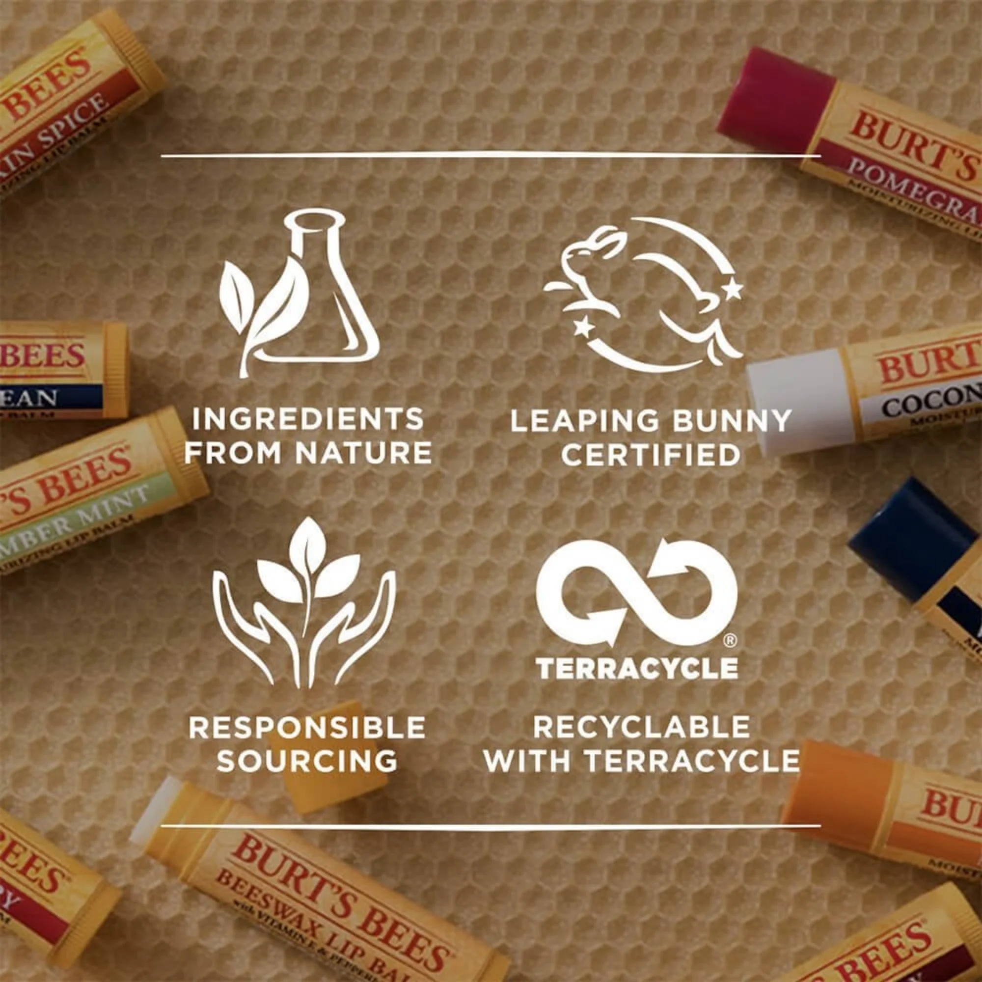Burt's Bees Lip Balm Pomegranate Tube 4.25g - Image 3