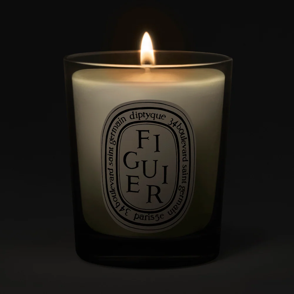 Diptyque Figuier Small Jar Candle 70g - Image 2