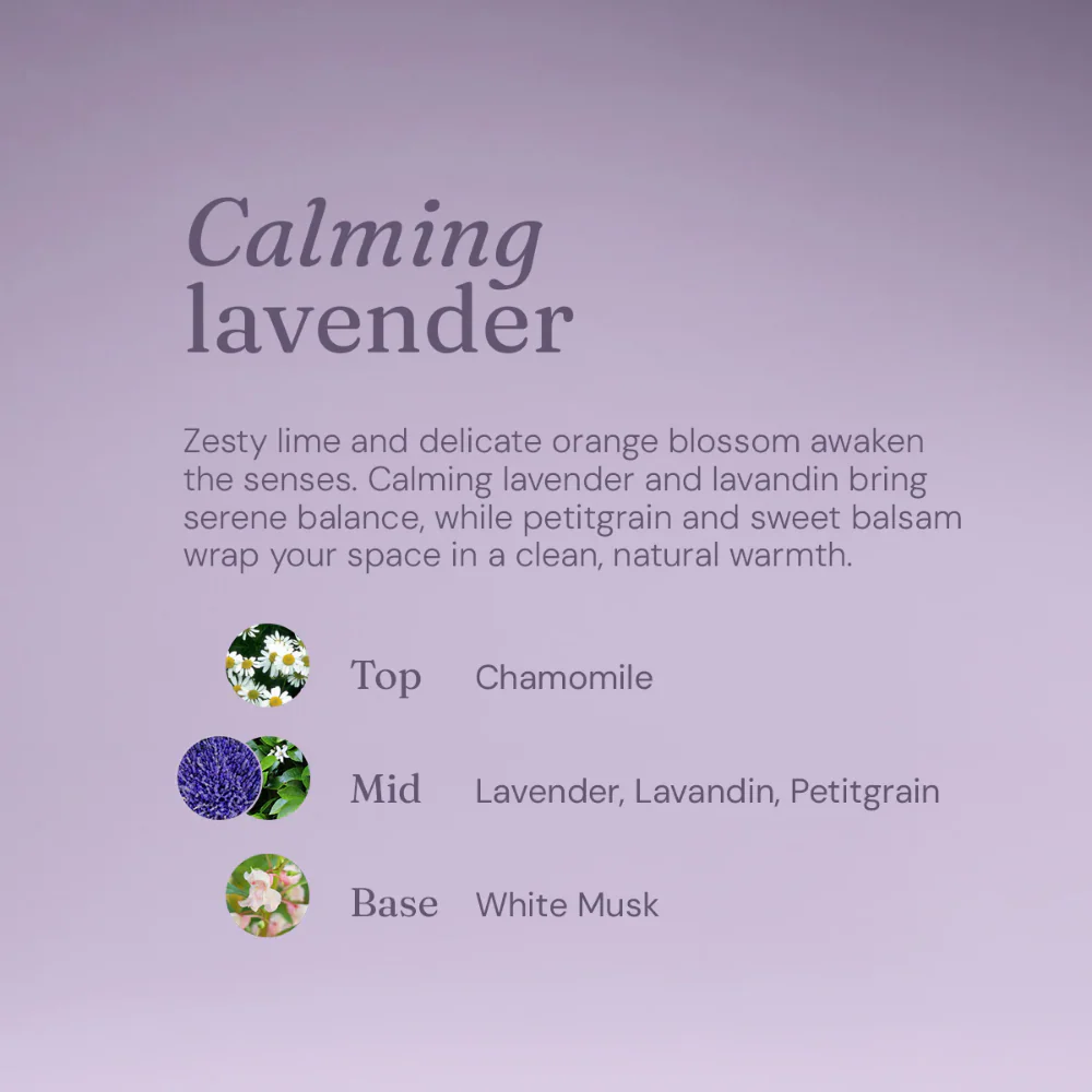 Miniml Nourishing Shampoo Calming Lavender 400ml - Image 7