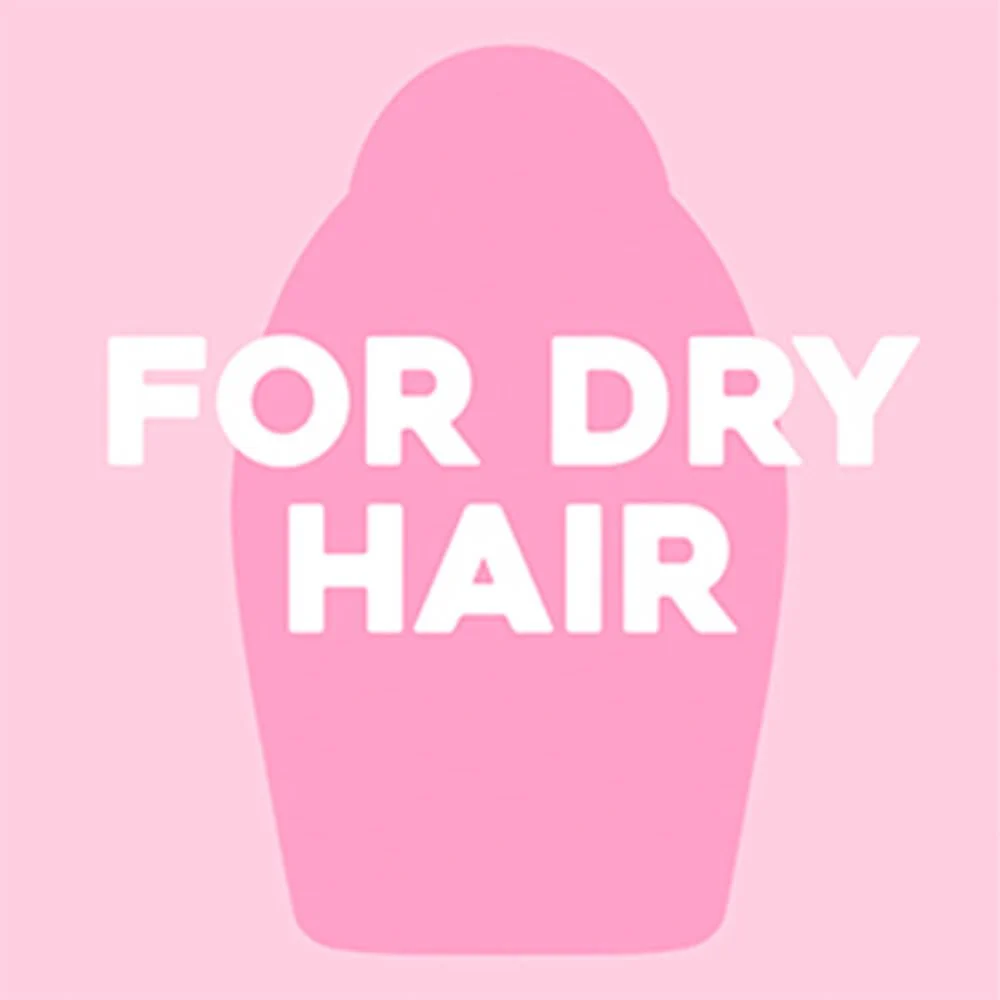 OGX Nourishing+ Coconut Milk Conditioner 385ml - Image 4