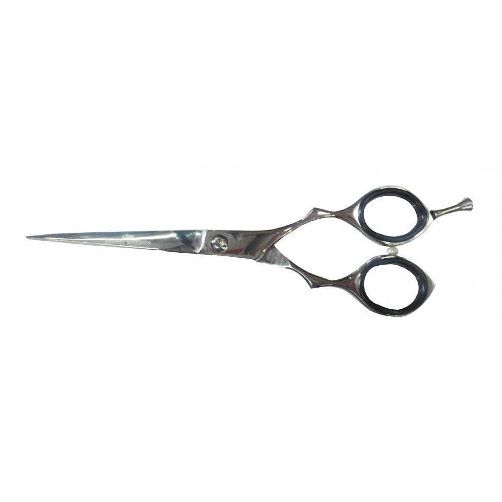 Professional Hairdressing Scissor 6 Inch