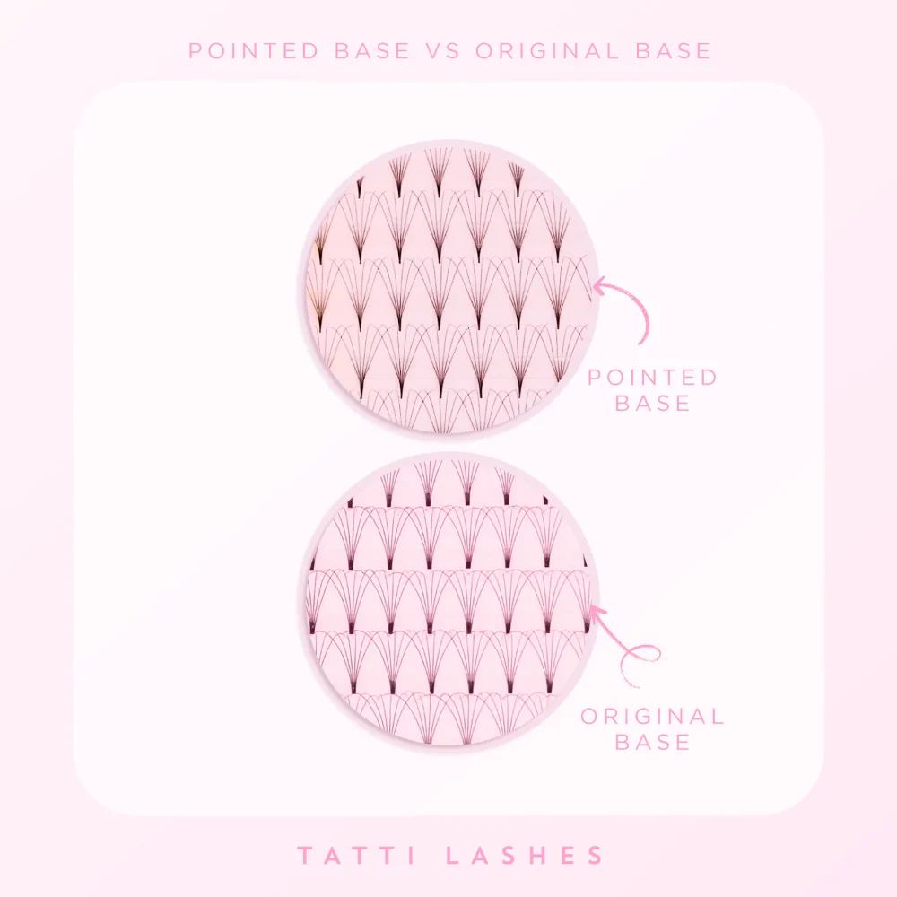Tatti Lashes 14mm D Curl Pre-Fanned Russian Volume 6D Individual Lashes Black - Image 3